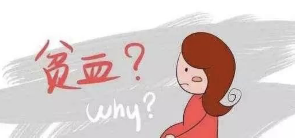 四年等待，妹妹給哥哥帶來生命的曙光